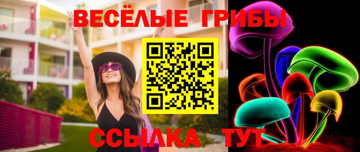 Черногорск  Псилоцибиновые грибы Psilocybe  Вход с VPN 